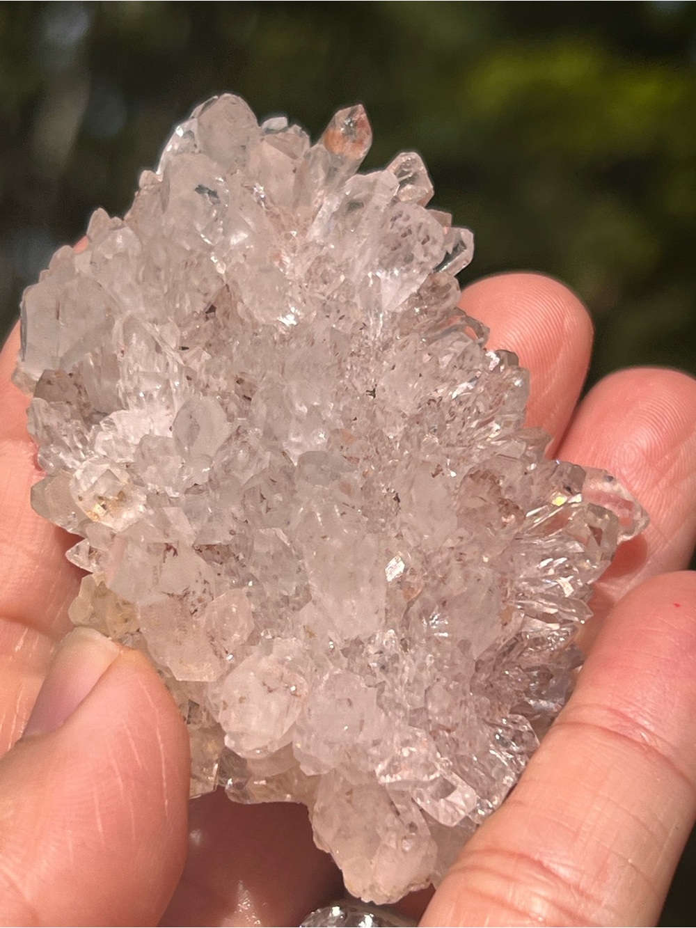 Pink (3) lemurian Quartz cluster | crystal